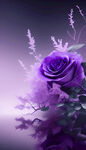 紫色妖姬