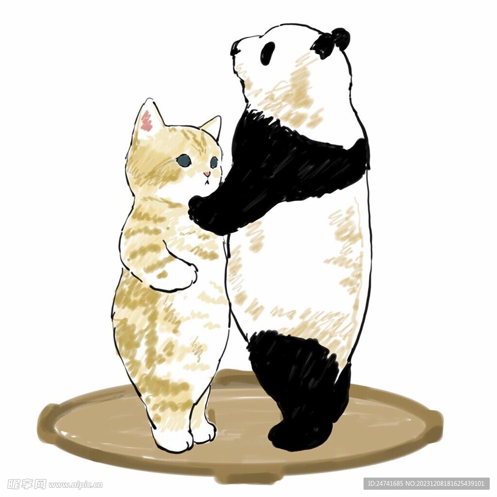 貓