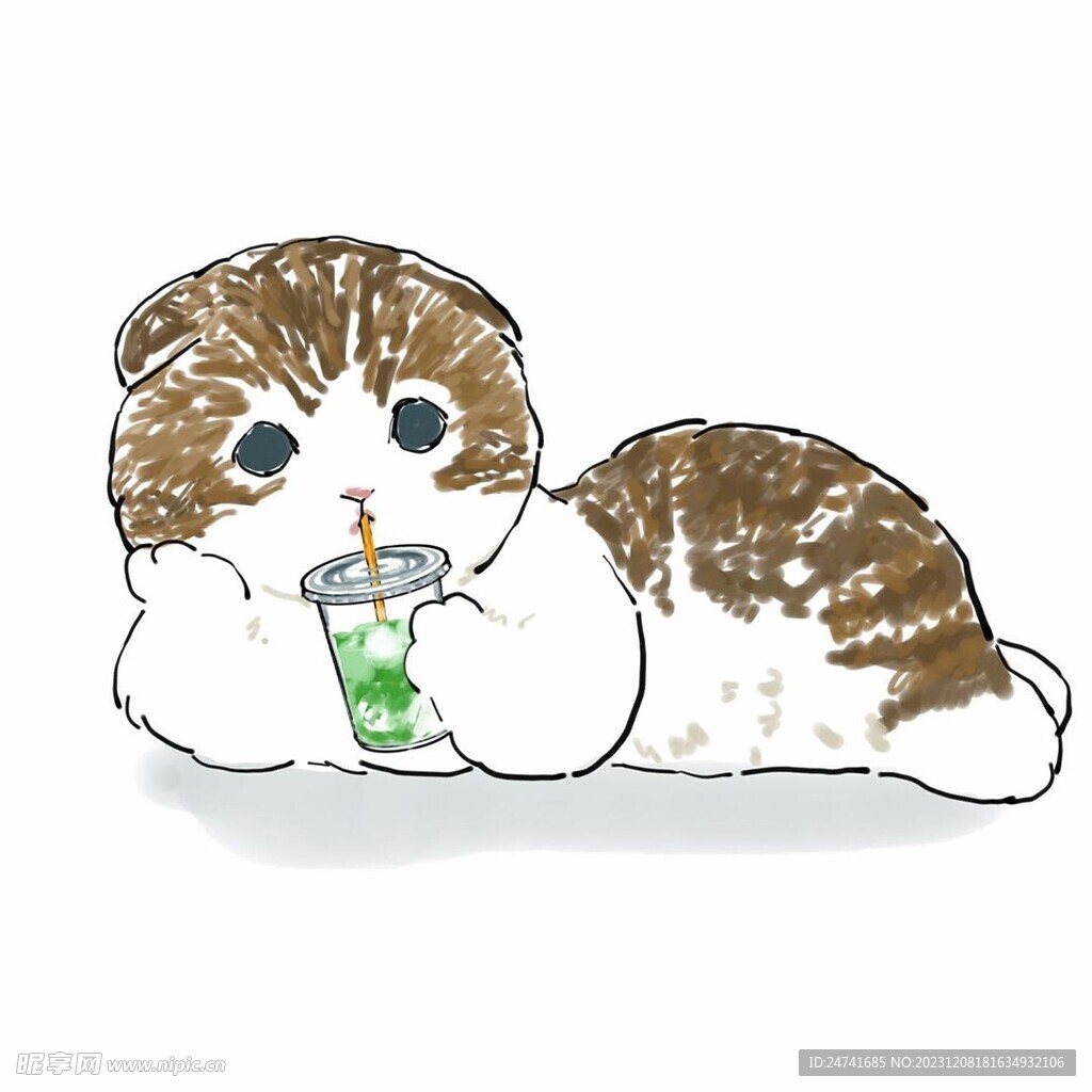 貓