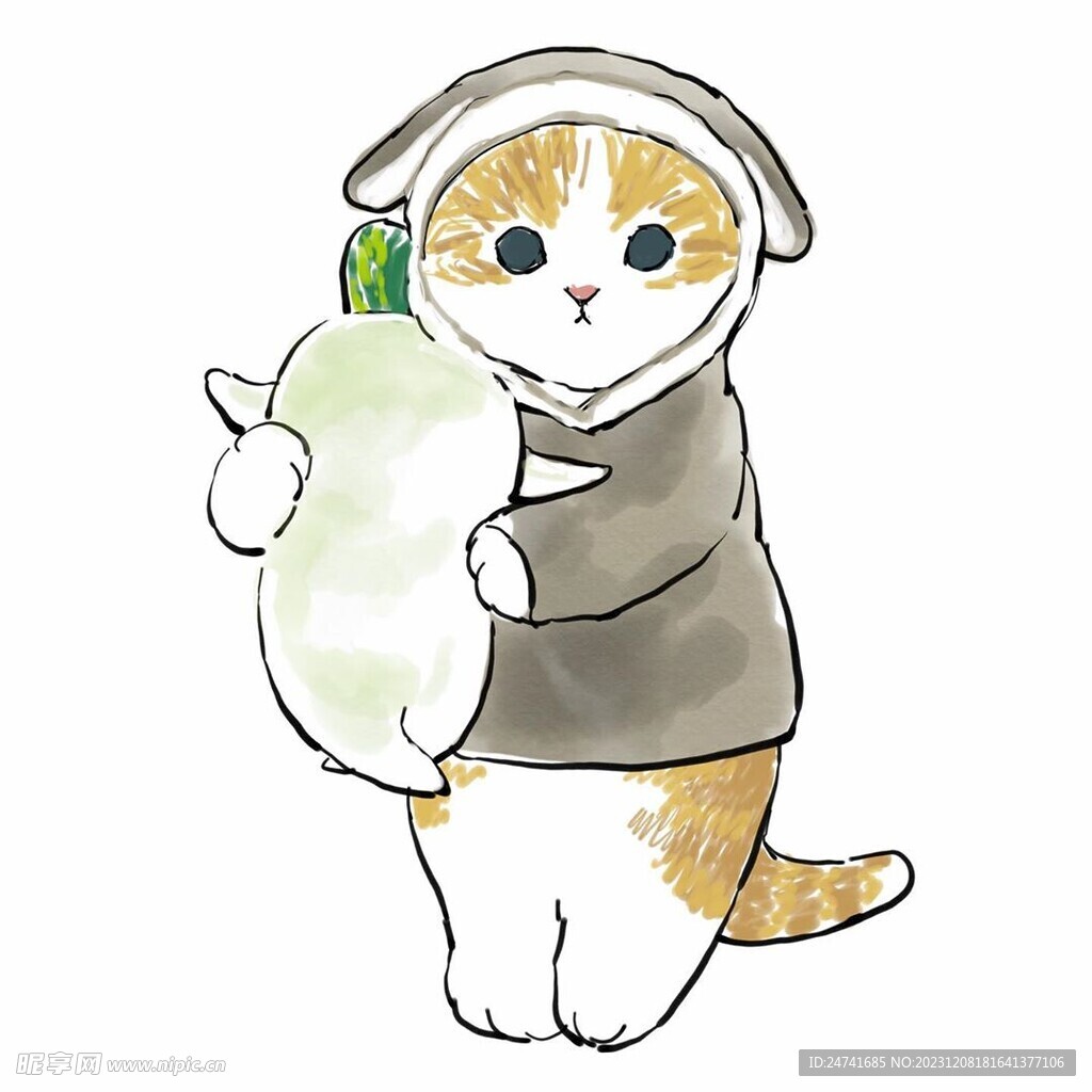 貓
