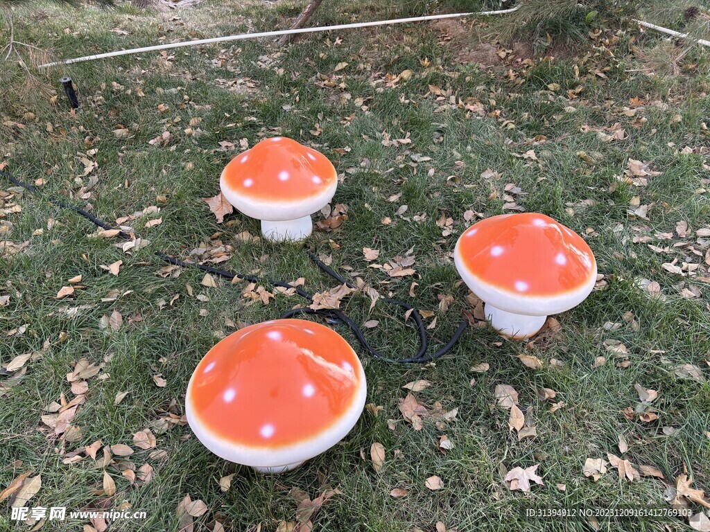 蘑菇路灯