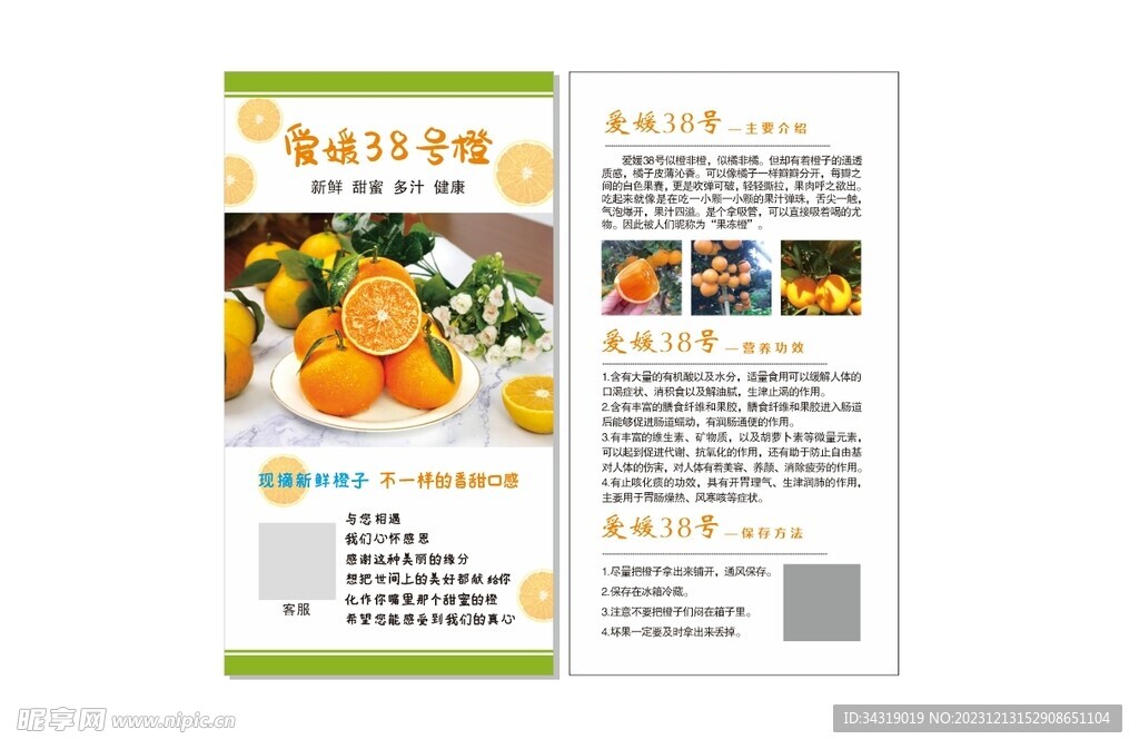 愛媛果凍橙 橙子卡片 詳情卡