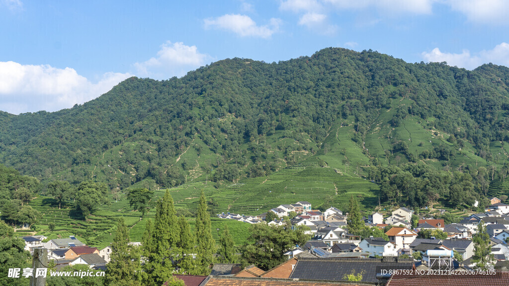 茶山田园自然风光