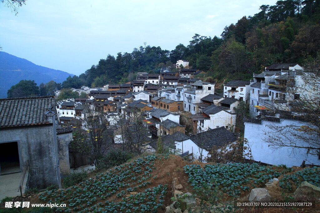 江西婺源篁嶺古村落曬秋風(fēng)景