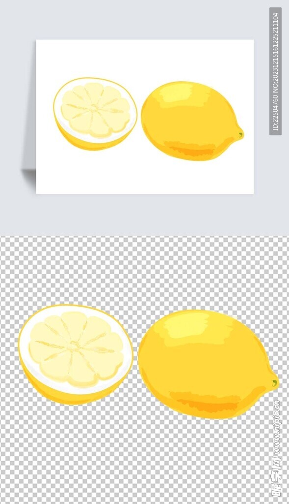 矢量水彩柠檬