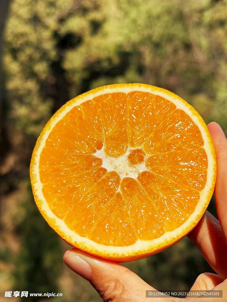 新鮮臍橙