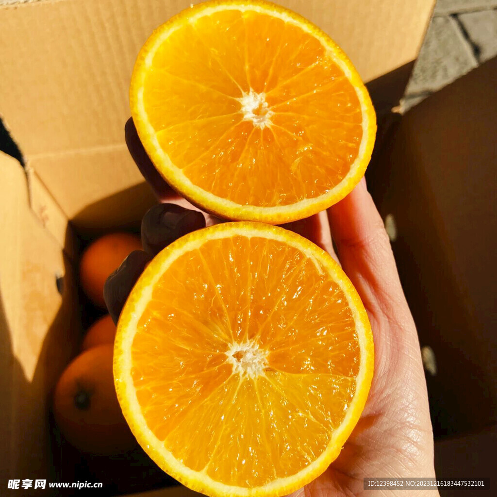 贛南臍橙
