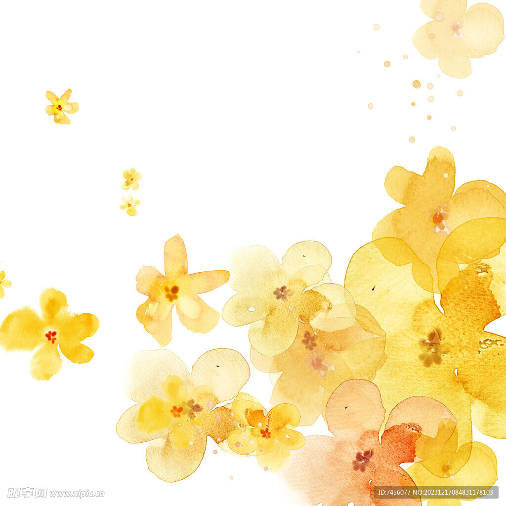 水彩黄色花瓣花朵挂画装饰画