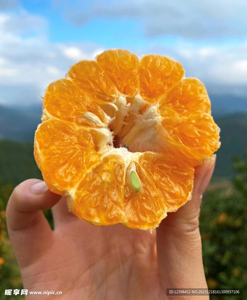 椪柑橘子