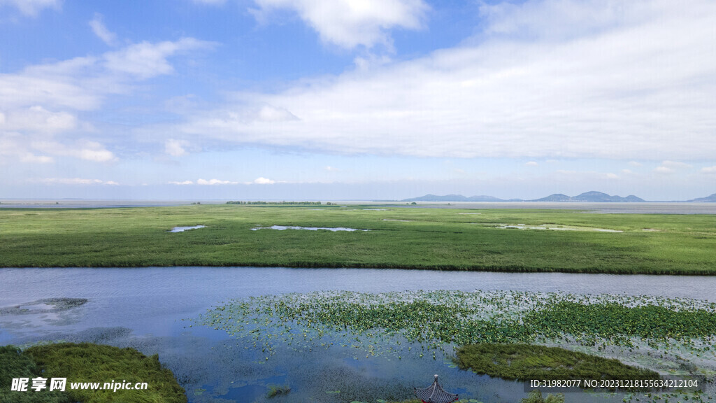 东平湖湿地