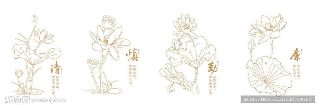 荷花