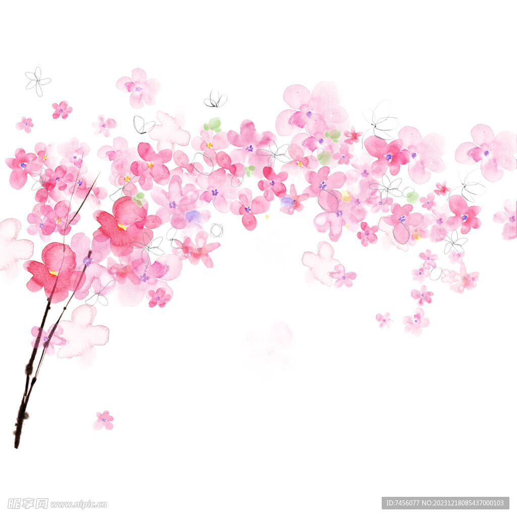 花枝花卉唯美掛畫裝飾畫