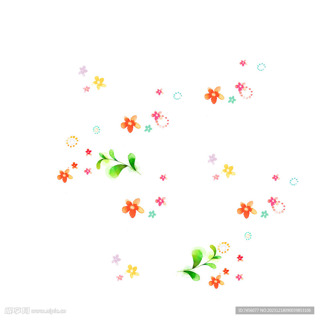 唯美植物花卉花朵挂画装饰画