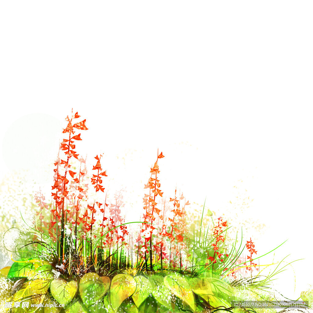 植物水彩花卉挂画装饰画