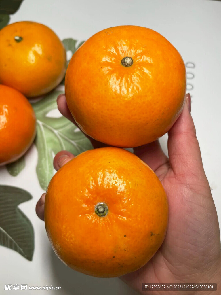 椪柑