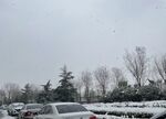 下雪天下雪了美景鹅毛大雪雪花图