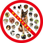成都市禁养22种烈性犬