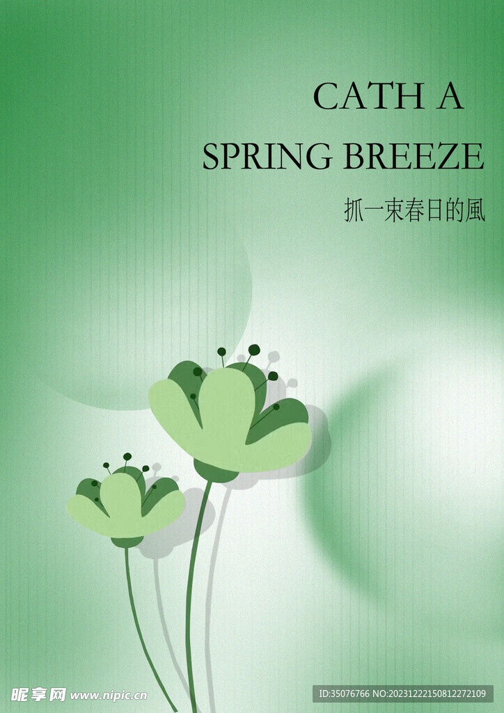 春日小花