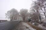 冬天公路边的雾淞