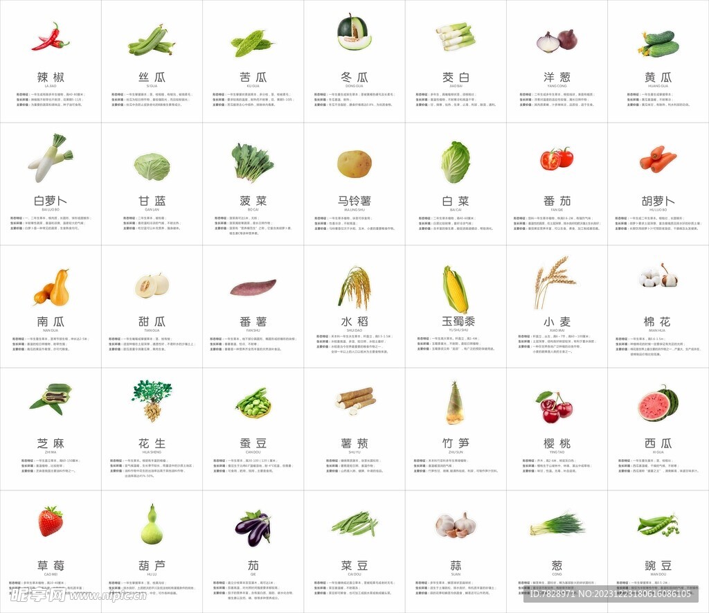 35种蔬菜水果