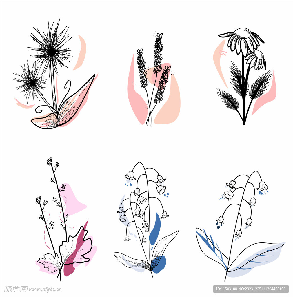 插圖花