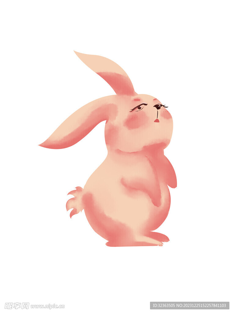 兔子插畫