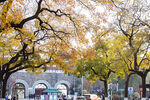玄武公园的秋天