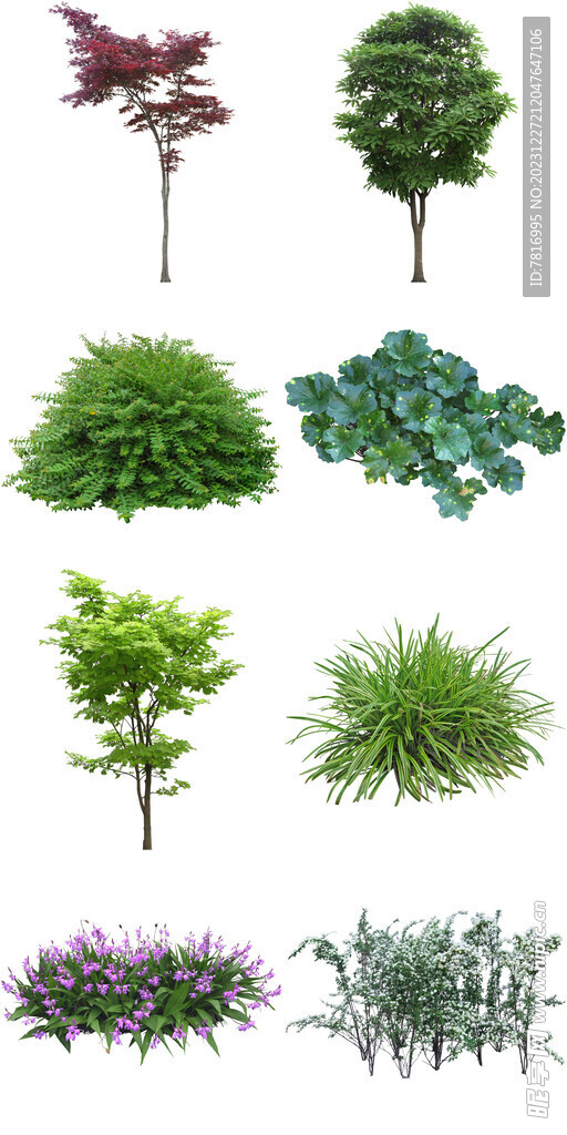 環保綠植花草