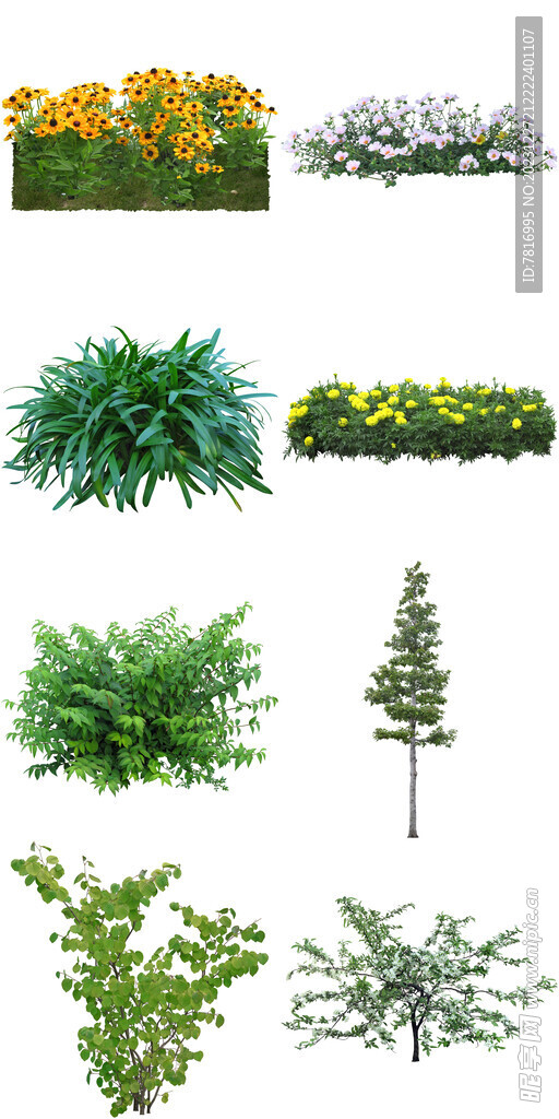 花卉綠植