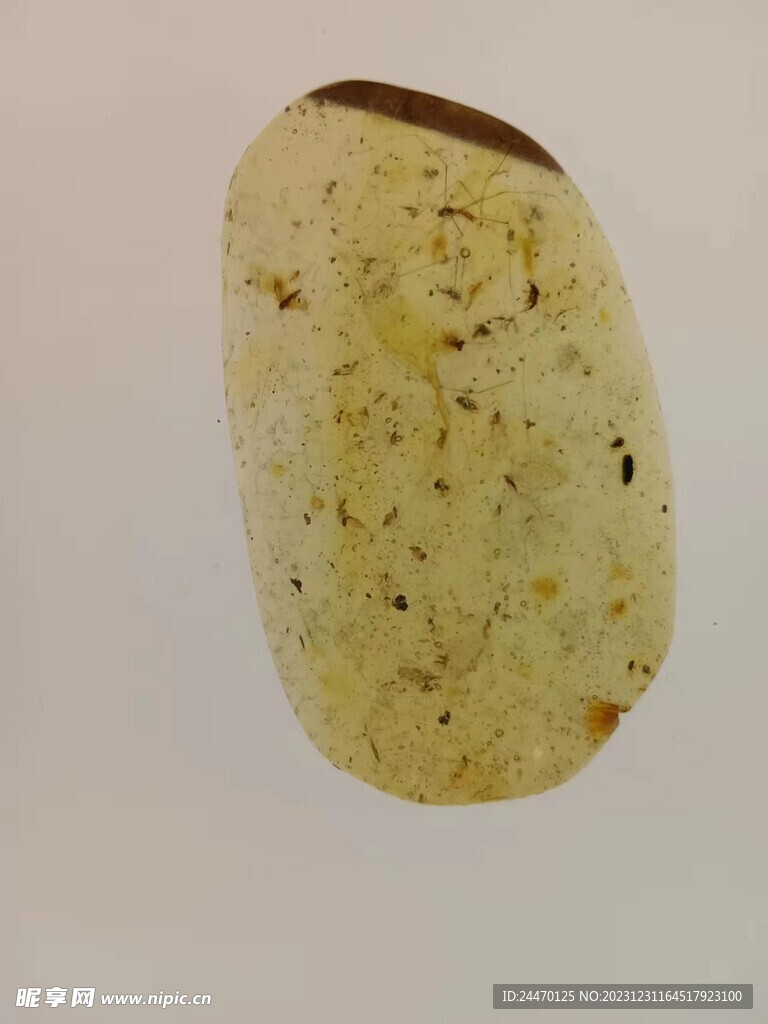 一夢黃粱琥珀