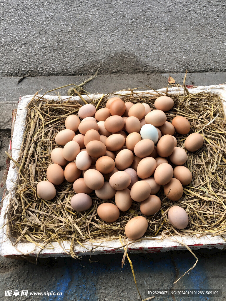 一堆鸡蛋