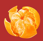 写实橘子