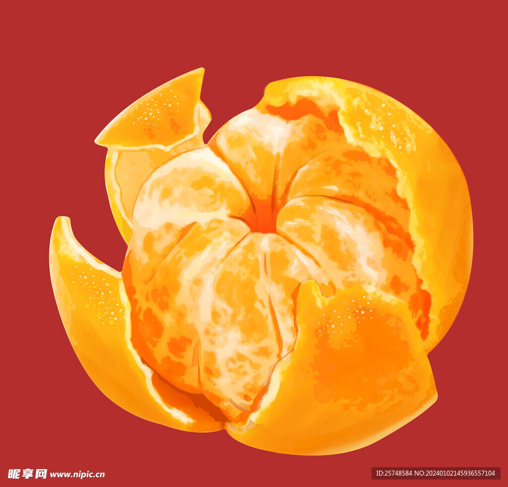 写实橘子