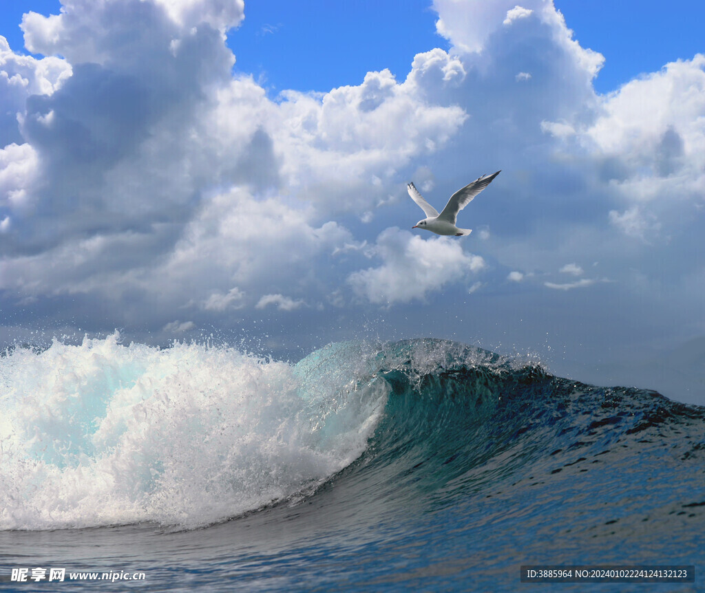 海浪波浪圖片