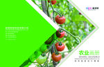绿色农产品健康环保画册封面图片