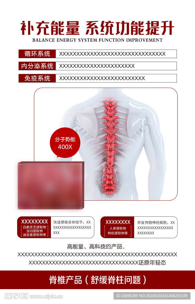 身体产品脊椎脊柱宣传页