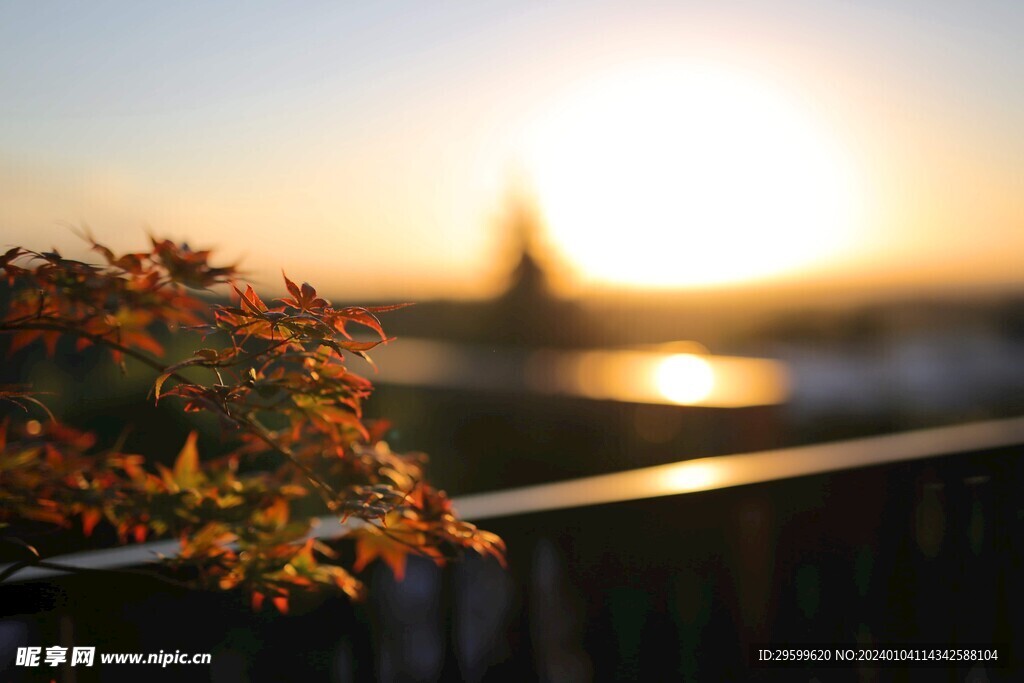 夕阳美景 