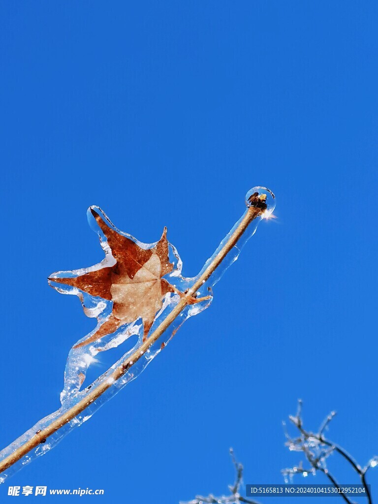 冬季雪景