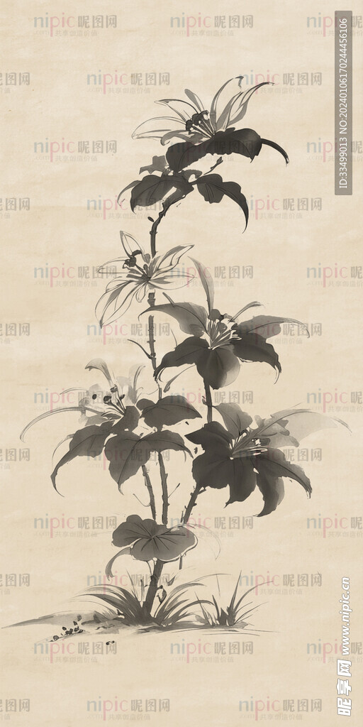 古風(fēng)花卉花草水墨畫國畫免摳素材