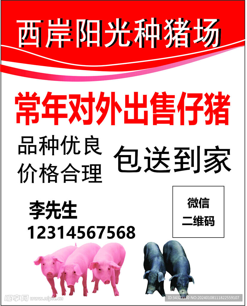 豬仔噴繪