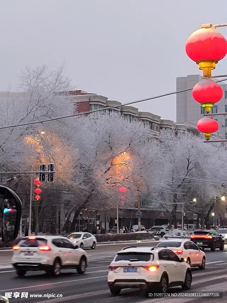 樹霜