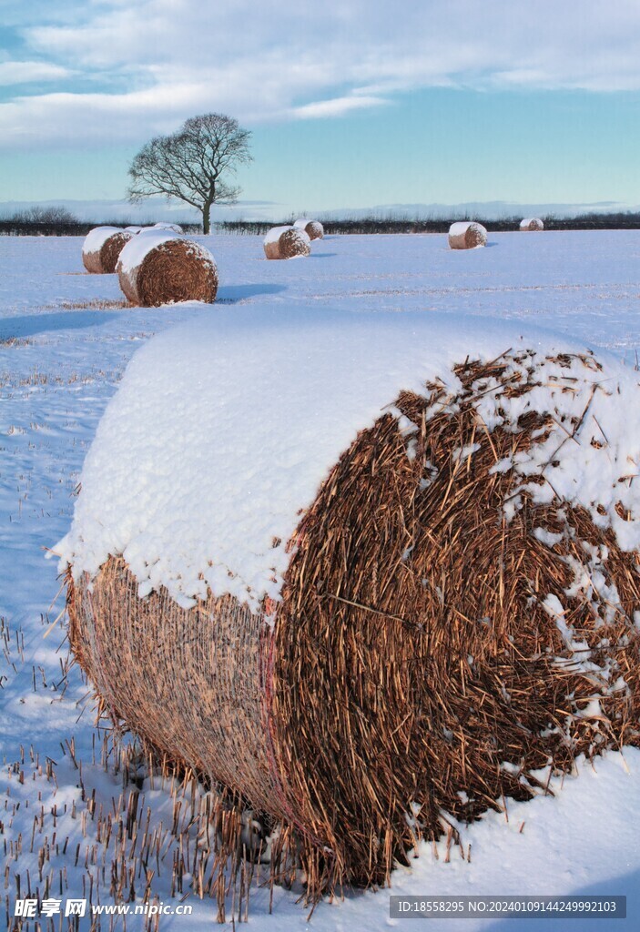 雪地草堆圖片