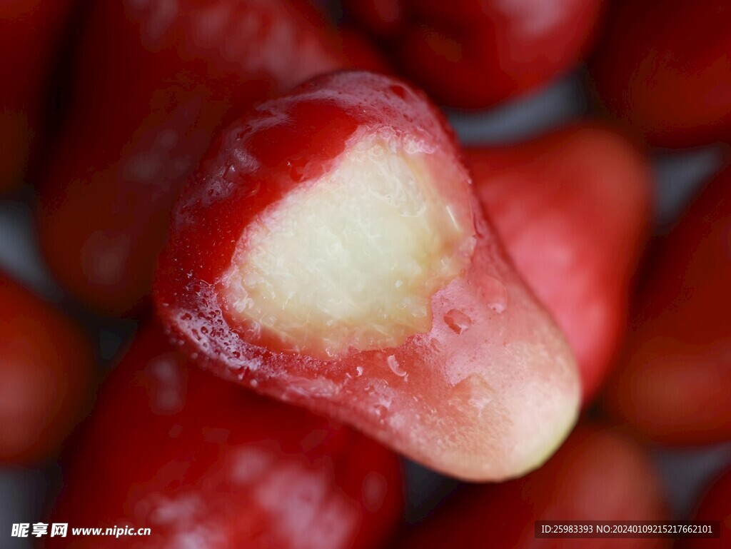 蓮霧
