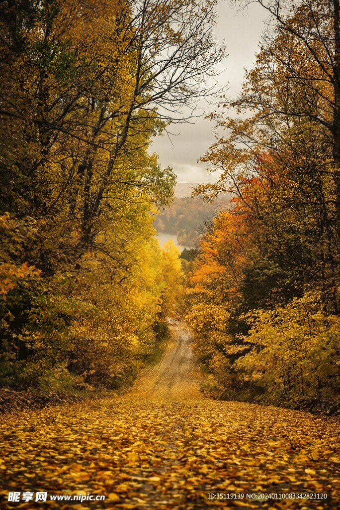 路邊風景