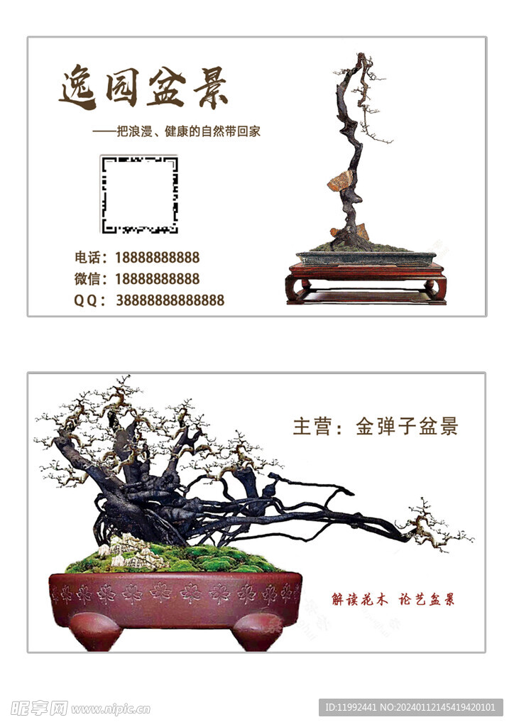 盆景名片個性盆景