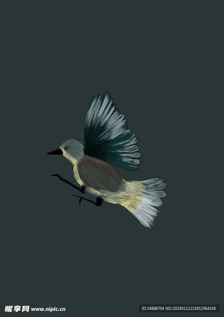鳥