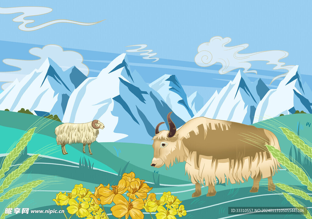 高原雪山牦牛