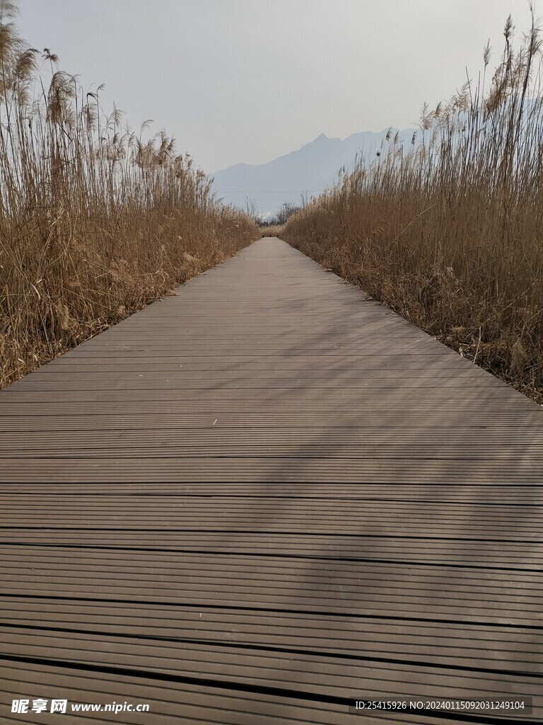 旅游照片