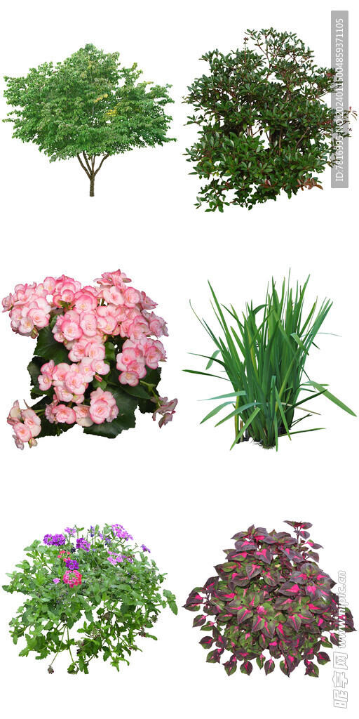 園木喜陰花卉