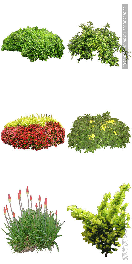 園林綠植